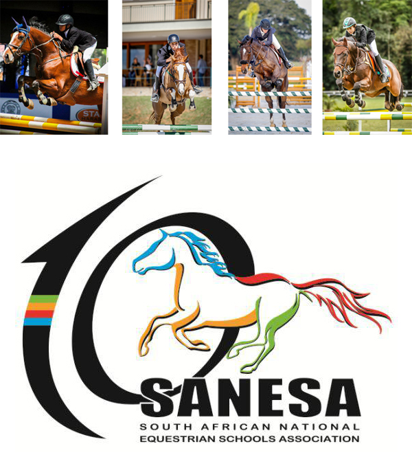 montagem africa02 600