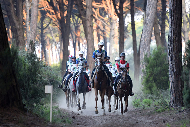 mundial ENDURO PIZZA PRE650