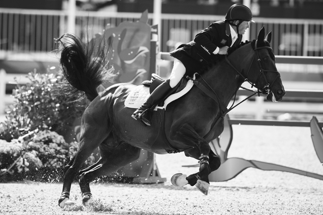 nick skelton fei650