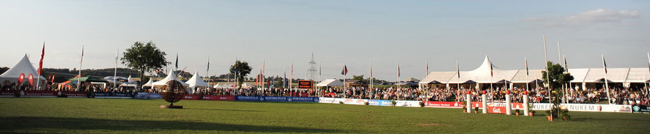 panoramica650
