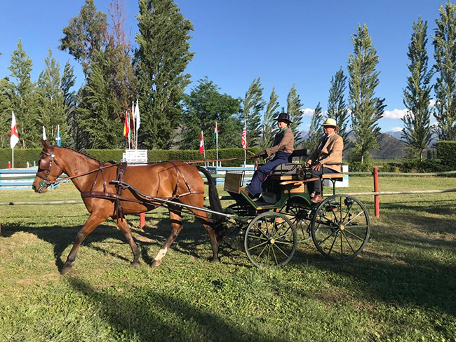 renata cerqueira chile650