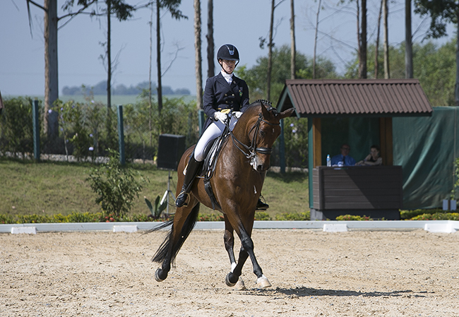sarah waddell wilsonjr 650