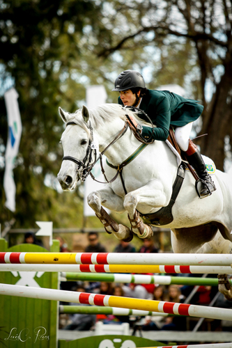 saraiva arg500
