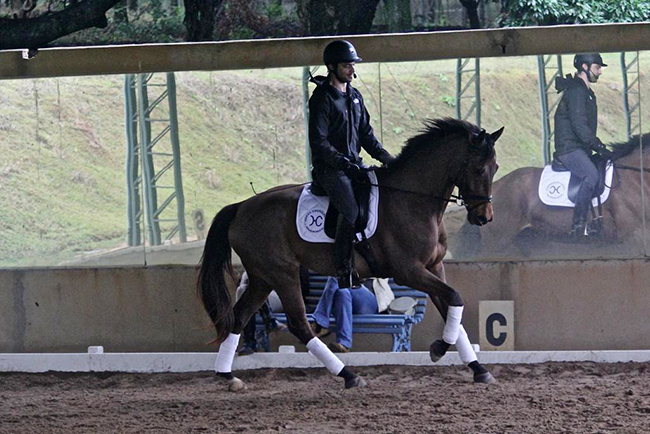 sergiotreino6