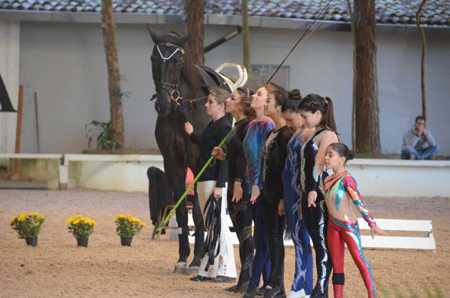 shp equipe650