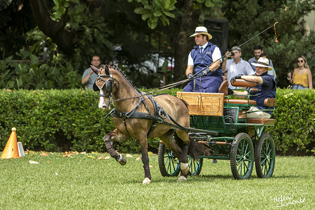 zeroberto pedropaulo atrelagem6